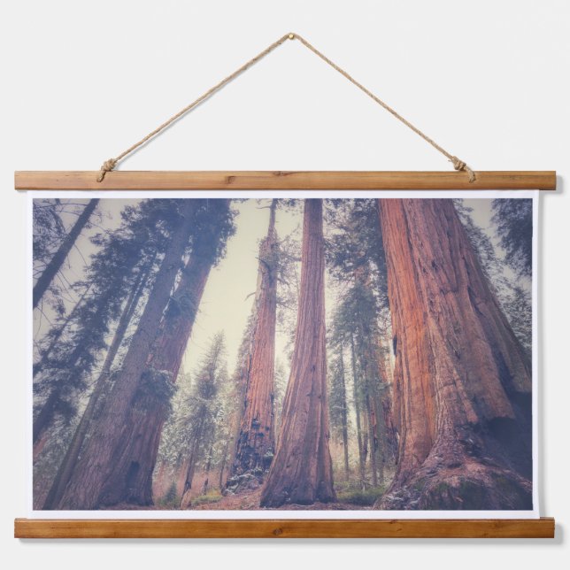 Tapiz Con Marco De Madera Bosque Sequoia (Anverso )