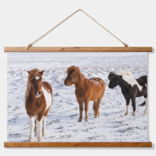 Tapiz Con Marco De Madera Caballo islandés con pelaje típico de invierno