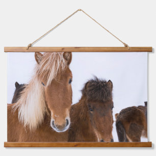 Tapiz Con Marco De Madera Caballos islandeses unidos