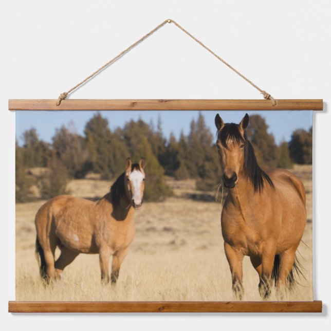 Tapiz Con Marco De Madera Caballos salvajes, montañas de Steens (Anverso )