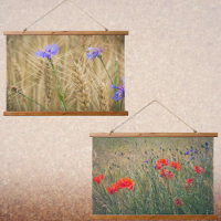 Campo de trigo con cachorros y flores de maíz
