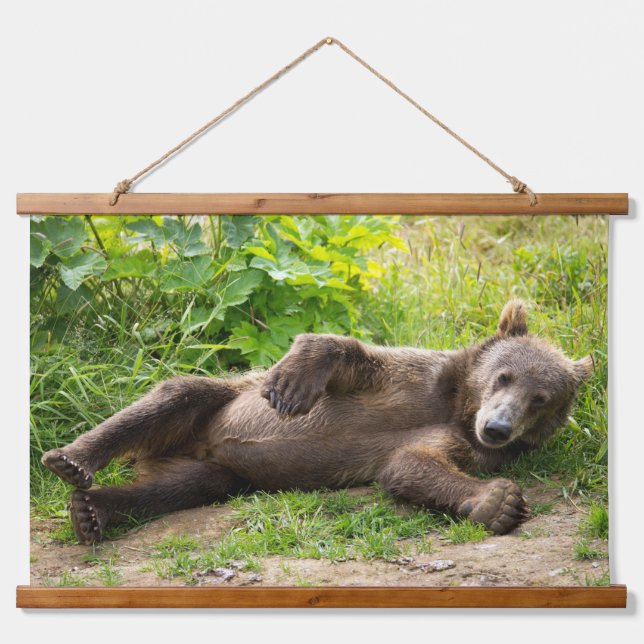 Tapiz Con Marco De Madera Chill Bear (Anverso )