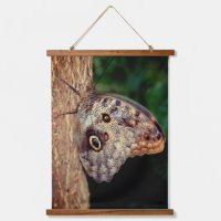 Cierre de mariposa de búho marrón