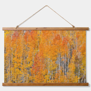 Tapiz Con Marco De Madera Colores de otoño en arboledas de álamos
