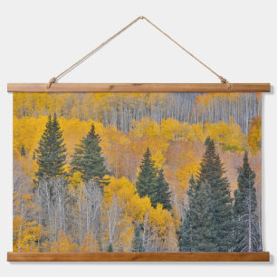 Tapiz Con Marco De Madera Colores de otoño en arboledas de álamos