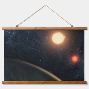 Tapiz Con Marco De Madera Concepto de artista que ilustra a Kepler-16b.