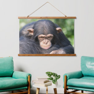 Tapiz Con Marco De Madera Conexión de chimpancé bebé