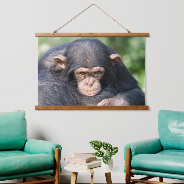 Tapiz Con Marco De Madera Conexión de chimpancé bebé (Sala de estar)