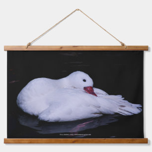 Tapiz Con Marco De Madera Coscoroba Swan P3442