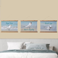Costa Fotográfica Royal Tern Seabirds Beach