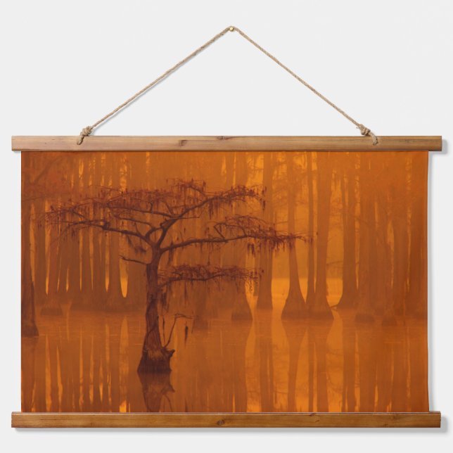 Tapiz Con Marco De Madera Cypress Trees | Parque estatal George Smith (Anverso )