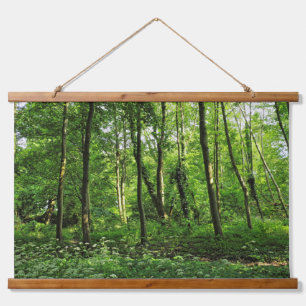 Tapiz Con Marco De Madera Escena de Woodland. Bosque de Blackweir, Cardiff