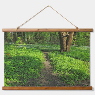 Tapiz Con Marco De Madera Escena de Woodland. Bosque de Blackweir, Cardiff