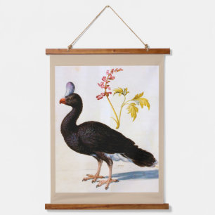 Tapiz Con Marco De Madera Estudio de una Curassow Casmeada, Arcimboldo