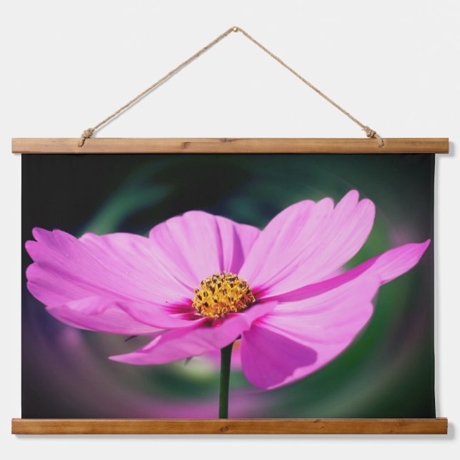 Tapiz Con Marco De Madera Flor Cosmos Rosa Única (Anverso )