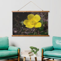 Flor de jardín amarilla