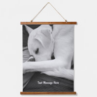 Foto en blanco y negro de un perro lindo descansan