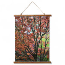 Fotografía de coloridas hojas de otoño