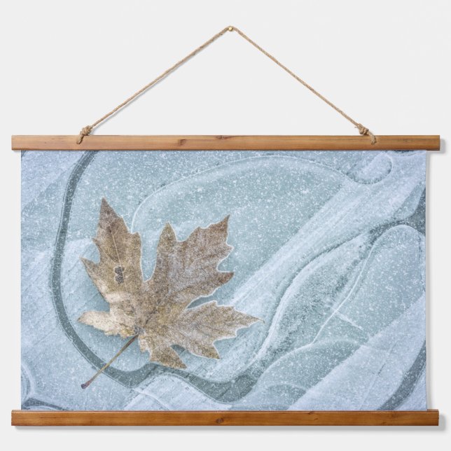 Tapiz Con Marco De Madera Frosty Maple Leaf Frozen en hielo (Anverso )