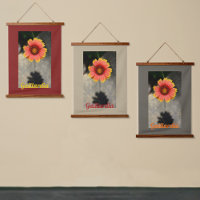 Gaillardia Flor y Sombra Floral Fotografía