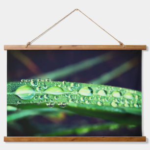 Tapiz Con Marco De Madera Gotas de lluvia en la hierba