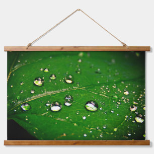 Tapiz Con Marco De Madera Gotas de lluvia en la hoja
