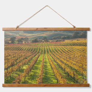 Tapiz Con Marco De Madera Grapevines en California Wine Country