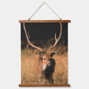 Tapiz Con Marco De Madera Hábitat natural cínico   Parque nacional de Bandha