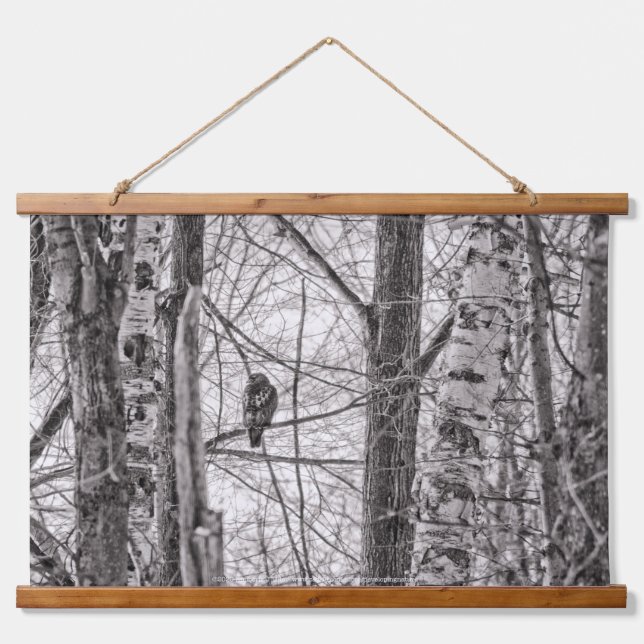 Tapiz Con Marco De Madera Halcón de cola roja P8443 (Anverso )