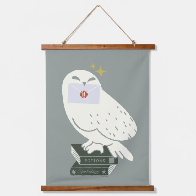 Tapiz Con Marco De Madera Hedwig With Letter Whimsical Drawing (Anverso)