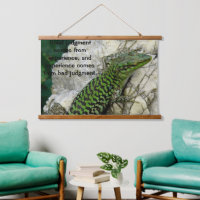 iguanas verdes sobre una roca