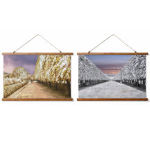 Jardín del Palais Royal de París