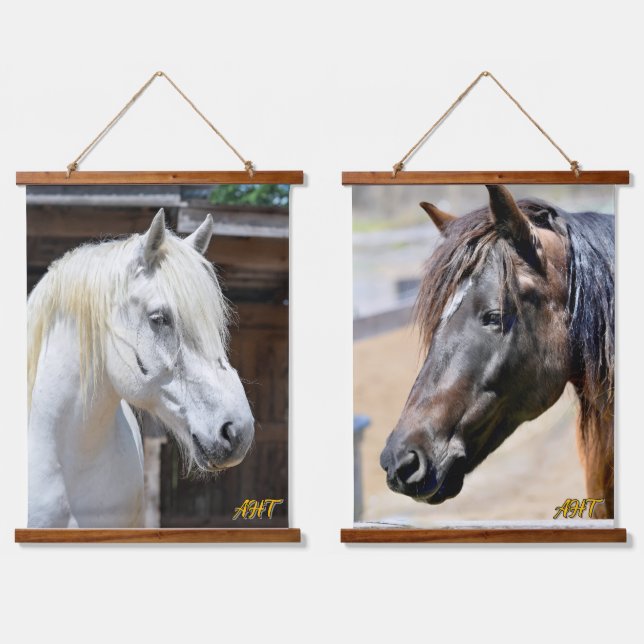 Tapiz Con Marco De Madera Jilly & Ruby AHT Wall Tapestries (Doble)