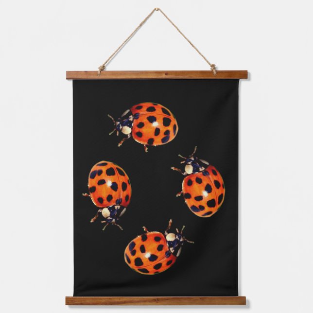 Tapiz Con Marco De Madera Ladybug Go Round Abstract (Anverso)