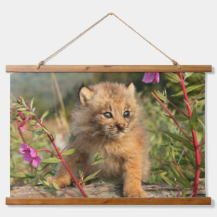 Tapiz Con Marco De Madera Lynx Kitten canadiense, Alaska