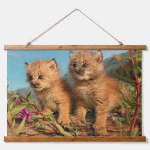 Tapiz Con Marco De Madera Lynx Kittens canadiense, Alaska