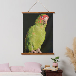 Tapiz Con Marco De Madera Macaw con fondo oscuro, vista de cierre