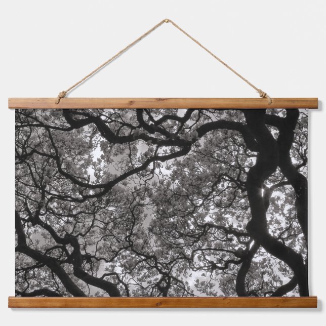 Tapiz Con Marco De Madera Magnolia Trees en Florencia 02 (Anverso )