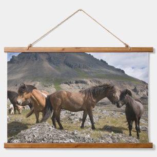 Tapiz Con Marco De Madera Manada De Caballos, Cerca De Hofn, Islandia