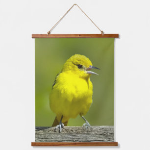 Tapiz Con Marco De Madera Orchard Oriole - Foto original