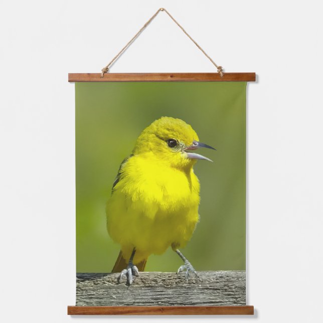 Tapiz Con Marco De Madera Orchard Oriole - Foto original (Anverso)