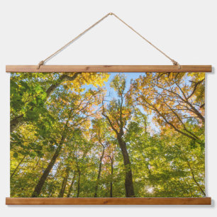 Tapiz Con Marco De Madera Otoño en un bosque en Amesbury, Massachusetts