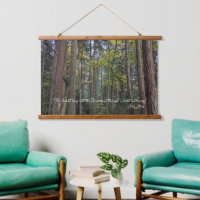 Paisaje forestal con cita de John Muir