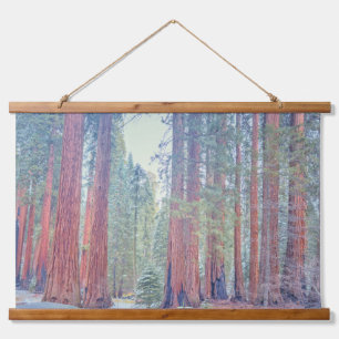 Tapiz Con Marco De Madera Paisaje Forestal del Parque Nacional Sequoia