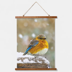 Tapiz Con Marco De Madera Pájaro azul oriental en nieve - Fotografía origina