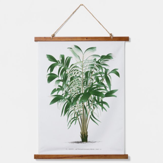 Tapiz Con Marco De Madera Palm Print -Pieter Joseph de Pannemaeker 1832-1904 (Anverso)