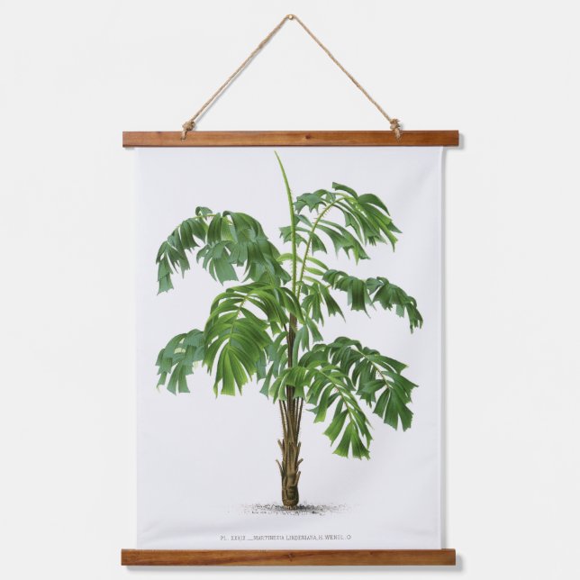 Tapiz Con Marco De Madera Palm Print -Pieter Joseph de Pannemaeker 1832-1904 (Anverso)