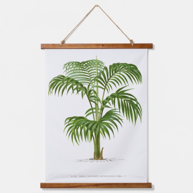 Tapiz Con Marco De Madera Palm Print -Pieter Joseph de Pannemaeker 1832-1904 (Anverso)