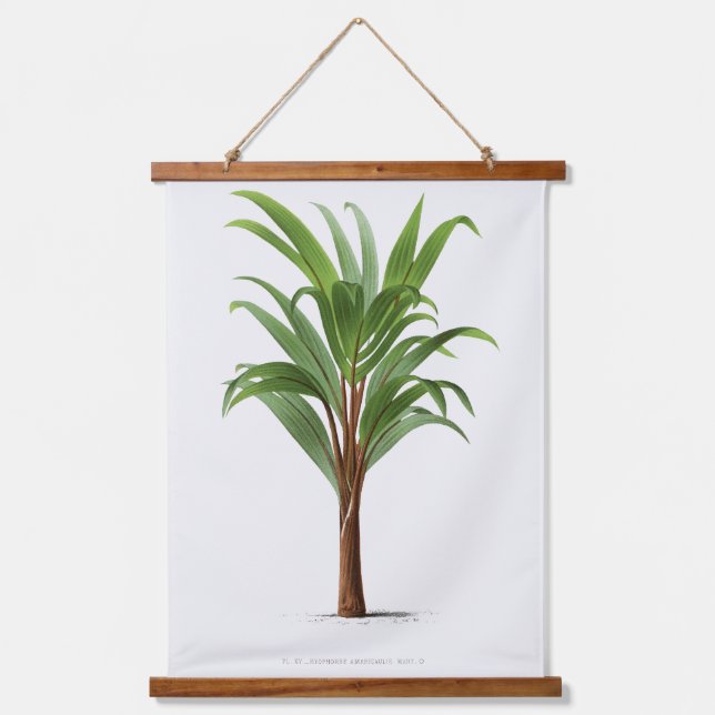 Tapiz Con Marco De Madera Palm Print -Pieter Joseph de Pannemaeker 1832-1904 (Anverso)