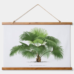 Tapiz Con Marco De Madera Palm Print -Pieter Joseph de Pannemaeker 1832-1904